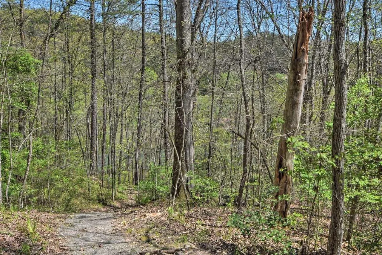 The At Camp Toccoa * Blue Ridge
