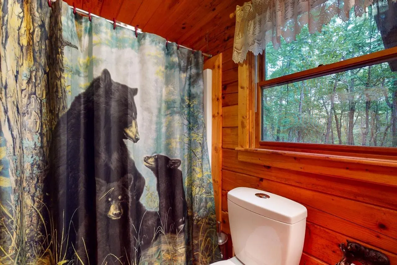 Holiday home Hilltop Hideaway Blue Ridge