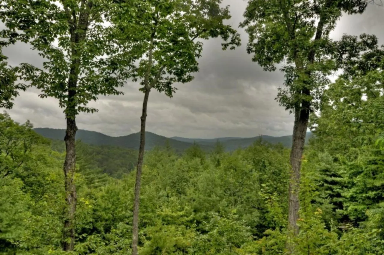 Holiday home Treasure In The Trees- Mtn Views Near Blue Ridge