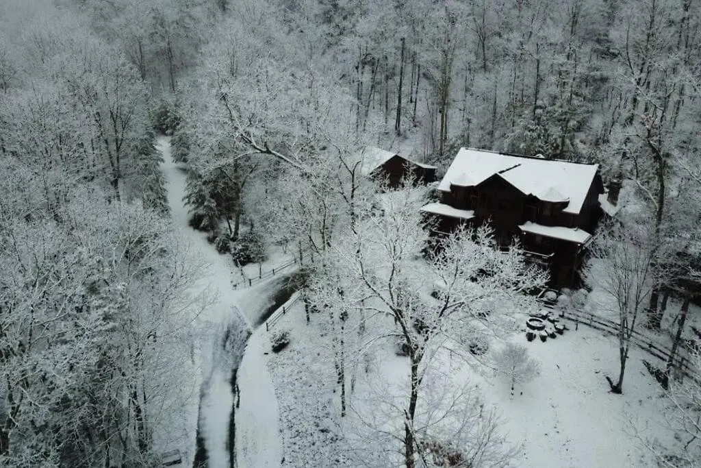 Christmas Lodge-secluded Near Downtown 別荘 ブルーリッジ山脈