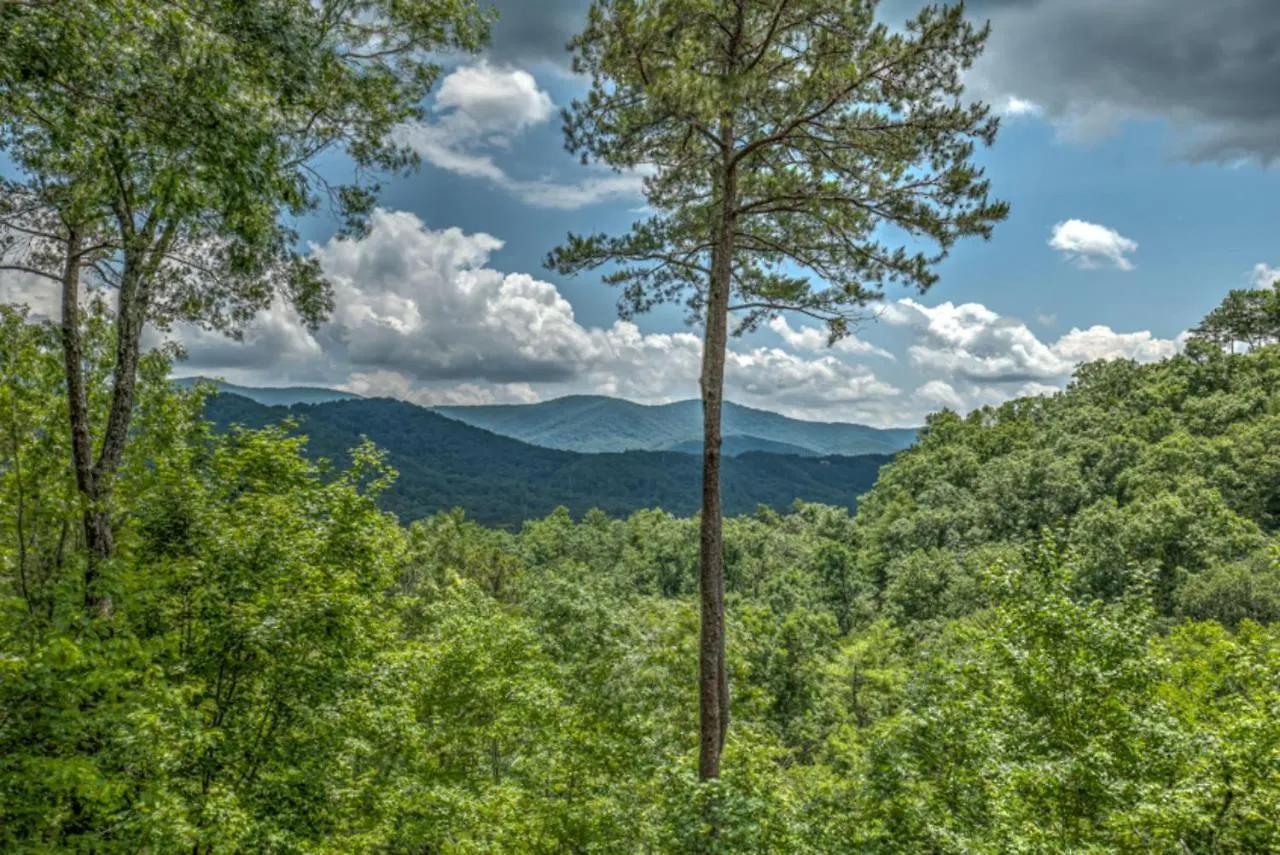 Glory Days Getaway Holiday home Blue Ridge