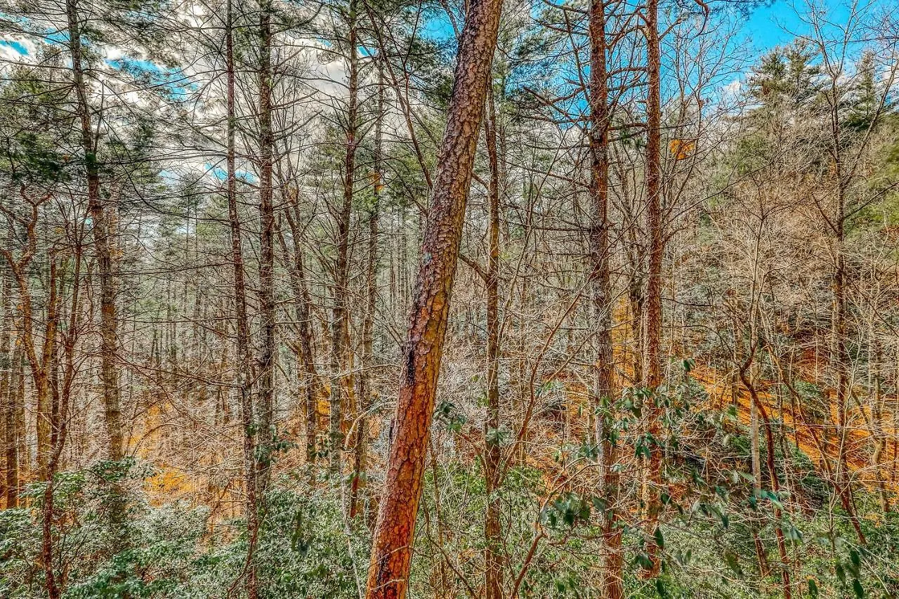 Etowah * Blue Ridge