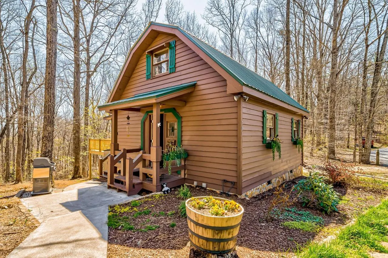 Huckleberry Forest Blue Ridge