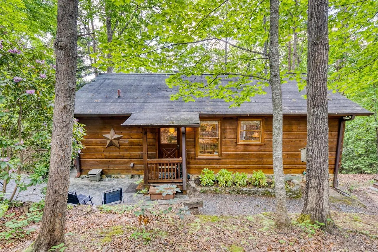 Secluded Sunrise Ridge-10 Min From Blue Ridge, King Beds, Hot Tub, 2 Porches, Fireplace Wood Burning, Mountain View, Cozy בית נופש *