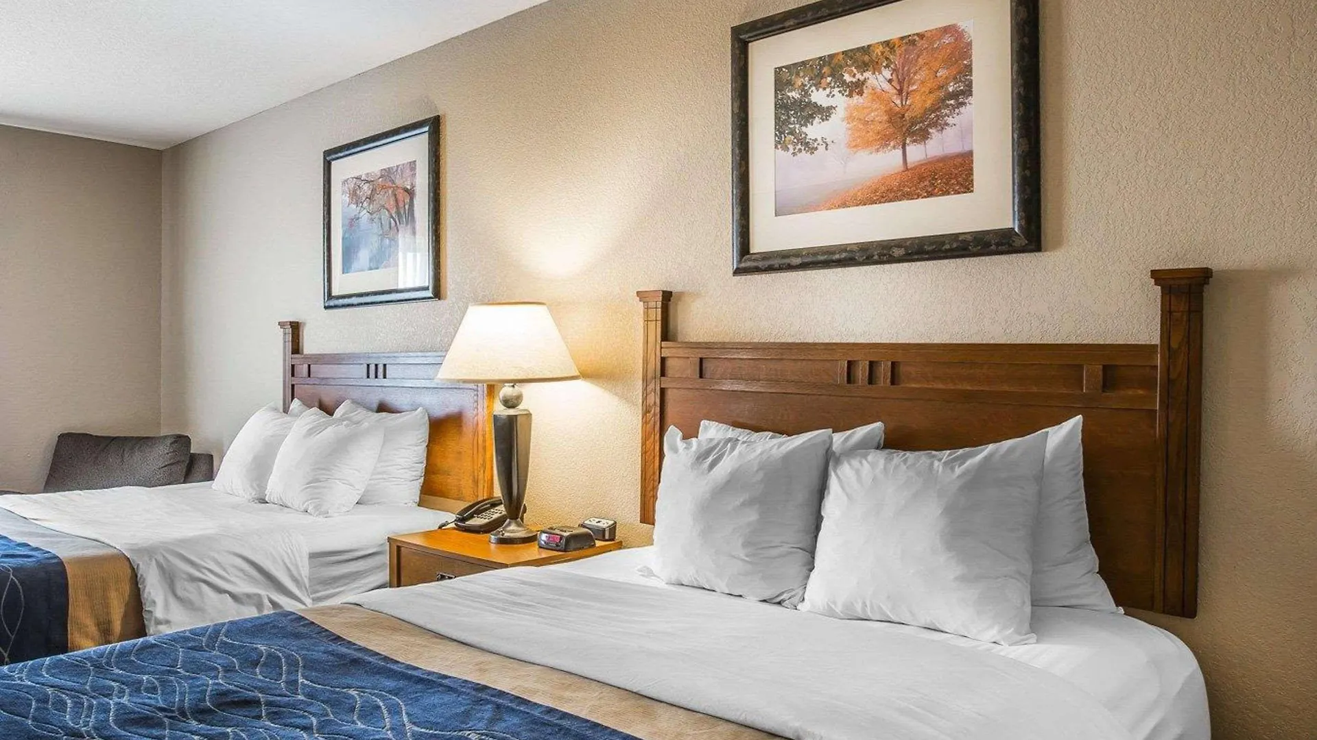 Hotel Comfort & Blue Ridge