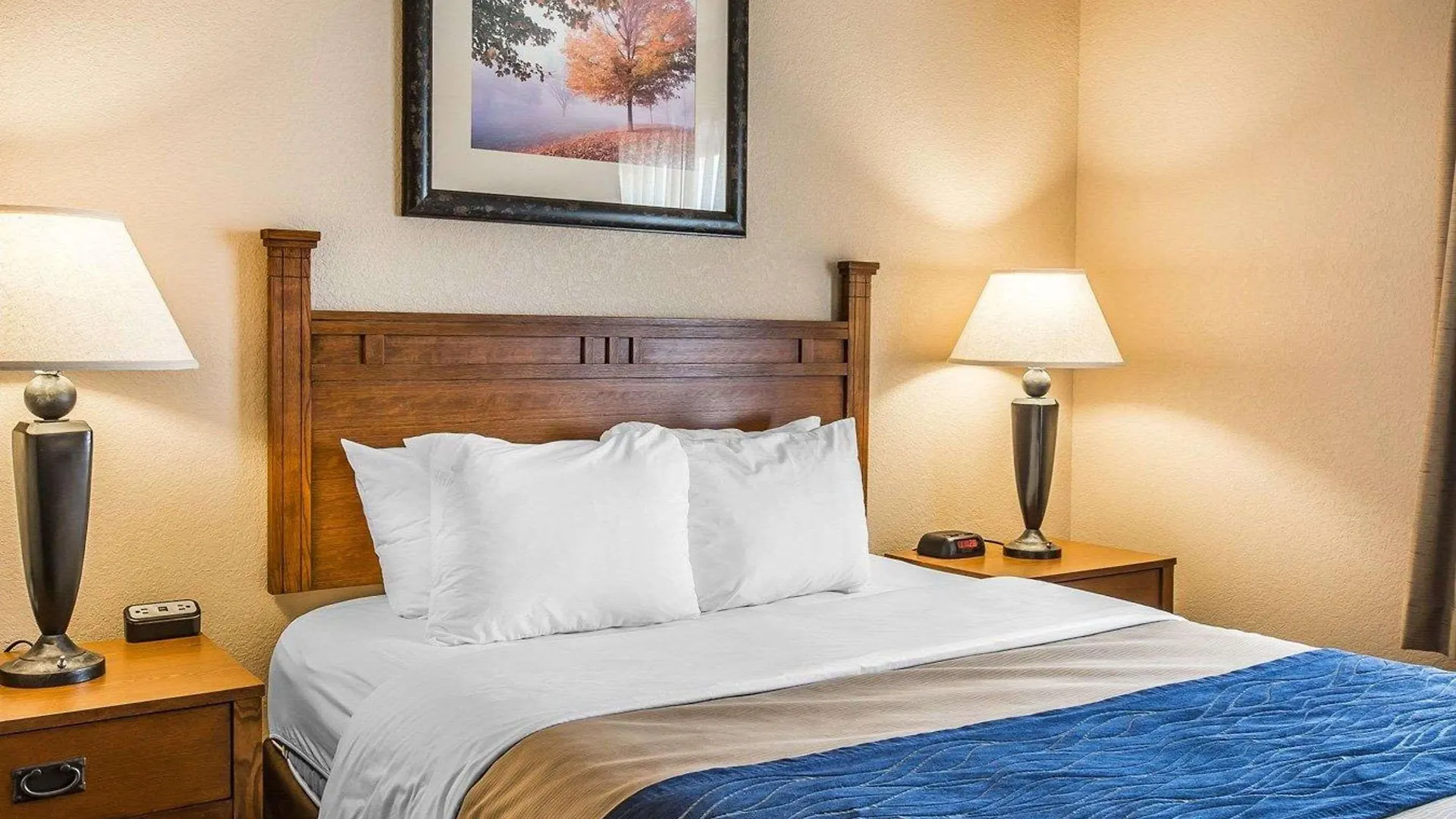 Comfort & Hotel Blue Ridge