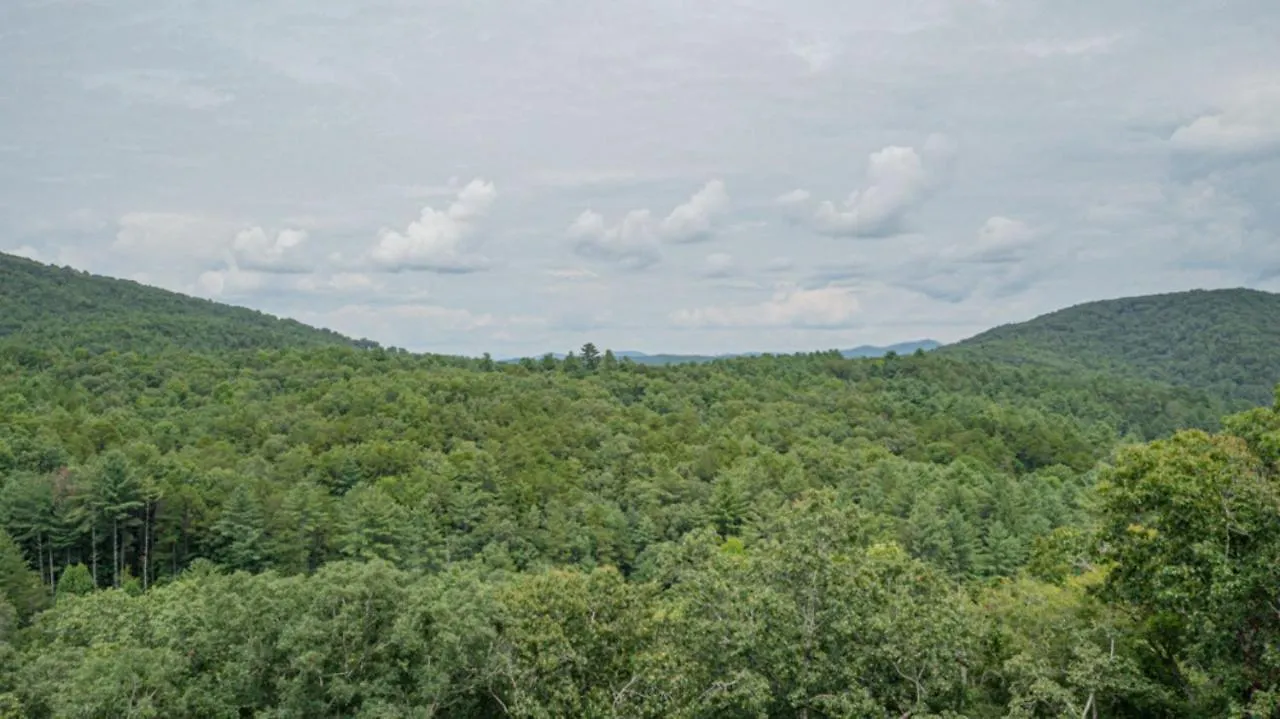 Songbird Ridge Holiday home *
