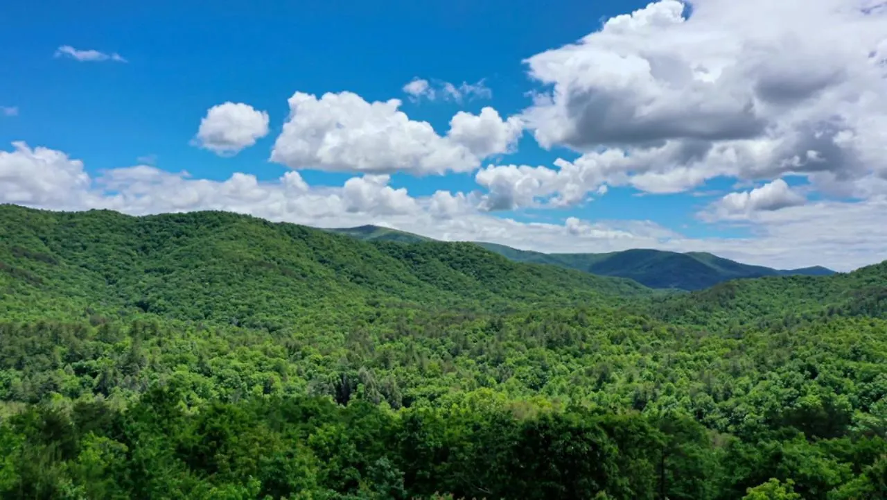 Holiday home Of The Ridge Blue Ridge