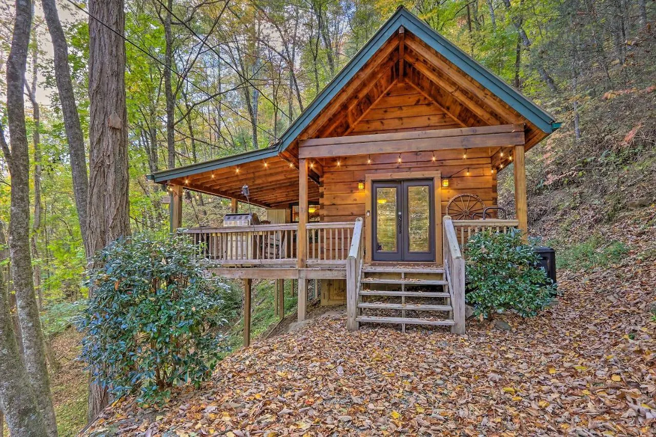 Charming With Deck And Grill! Holiday home Blue Ridge