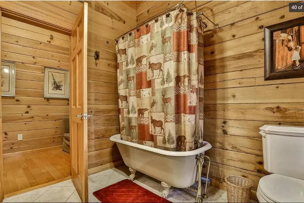 Bliss- Spacious Cabin, Pets, Hot Tub! Blue Ridge