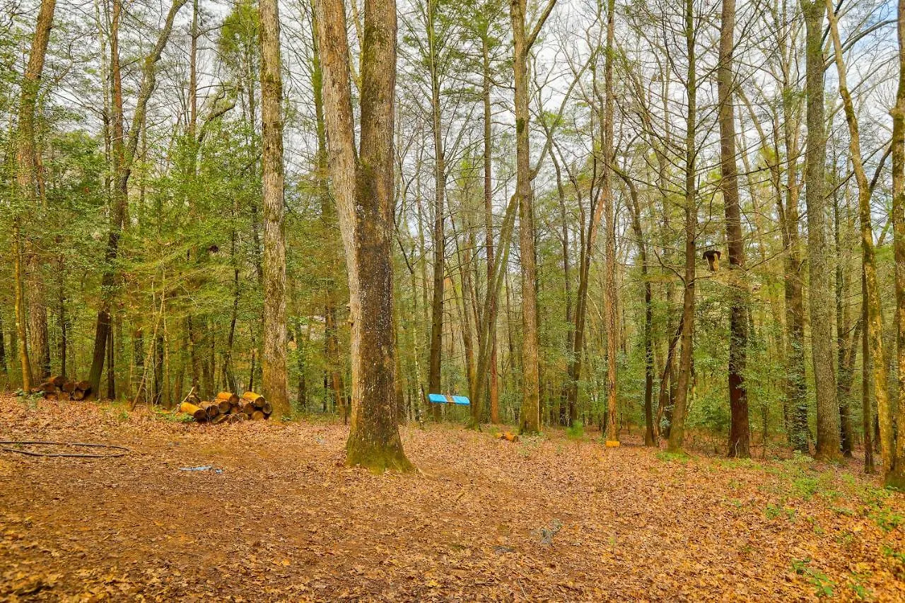 Tatil Evi Bear In The Woods Blue Ridge