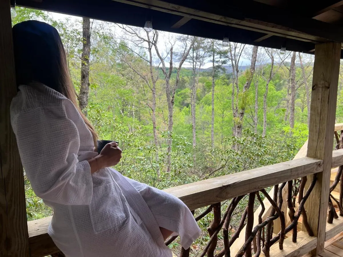 Log With Mountain View And Privacy * Blue Ridge