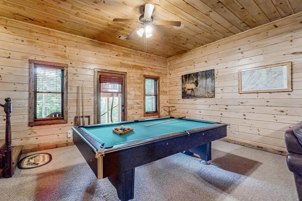 Bear Aska Holiday home Blue Ridge