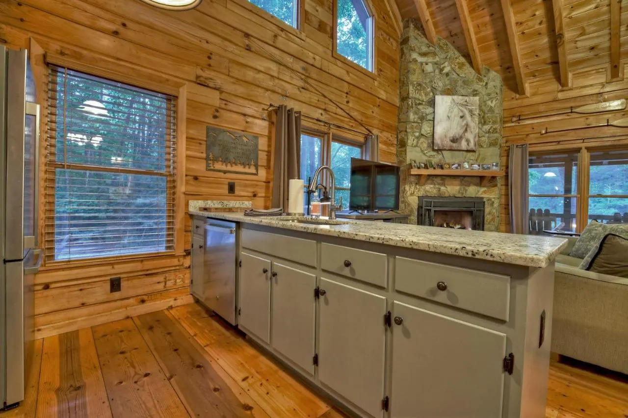 Tiny Waterfront With Hot Tub & Fire Pit Holiday home Blue Ridge