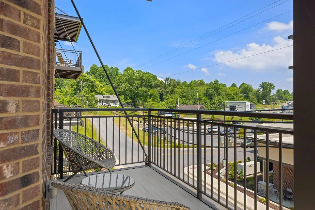 Beautiful Downtown - Balcony - Amazing Views - Loaded Kitchen - Stainless Steel Appliances - Board Games & Blue Ridge