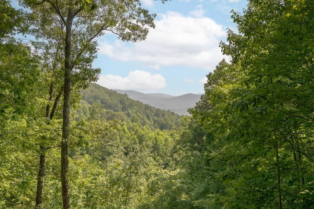 A Heavenly View Holiday home Blue Ridge