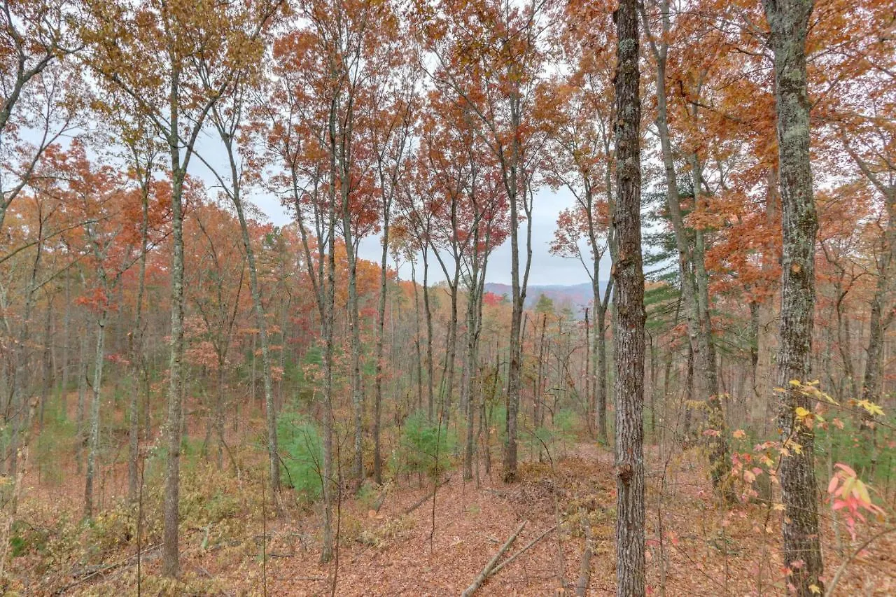 With Hot Tub, 5 Mi To Downtown! * Blue Ridge