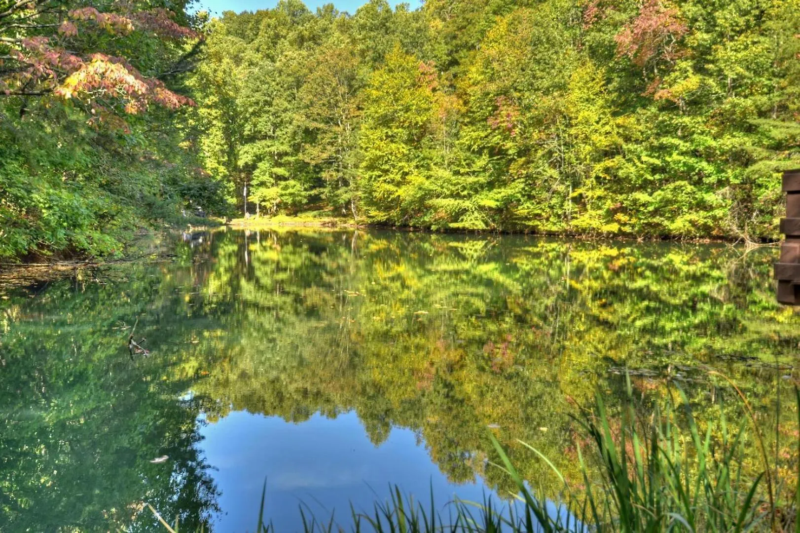 Moon Pond Getaway Holiday home Blue Ridge