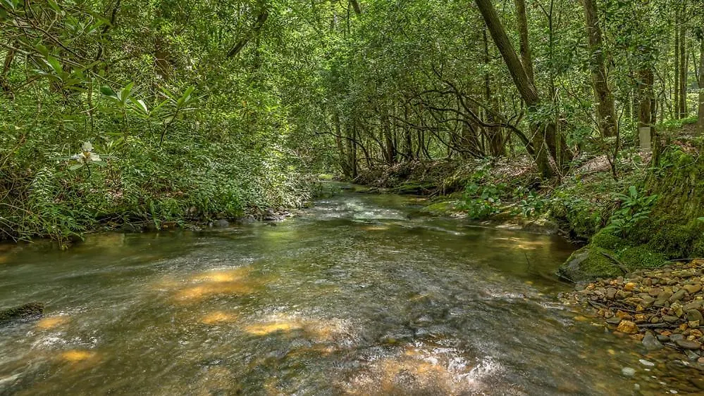 Serenity On The Creek Blue Ridge