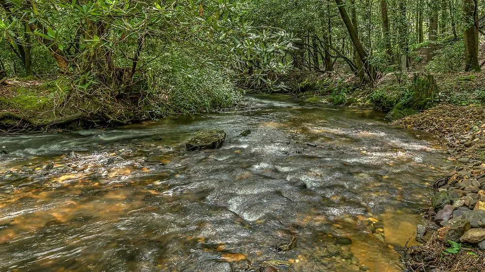 Serenity On The Creek