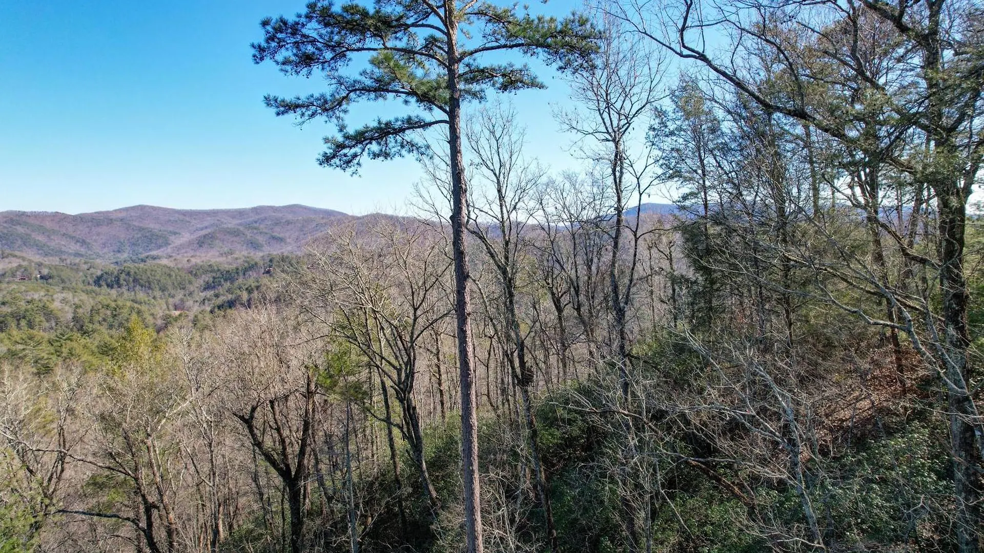 Rosiey View