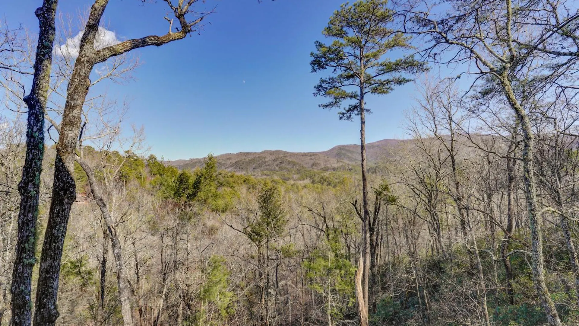 Holiday home Rosiey View Blue Ridge