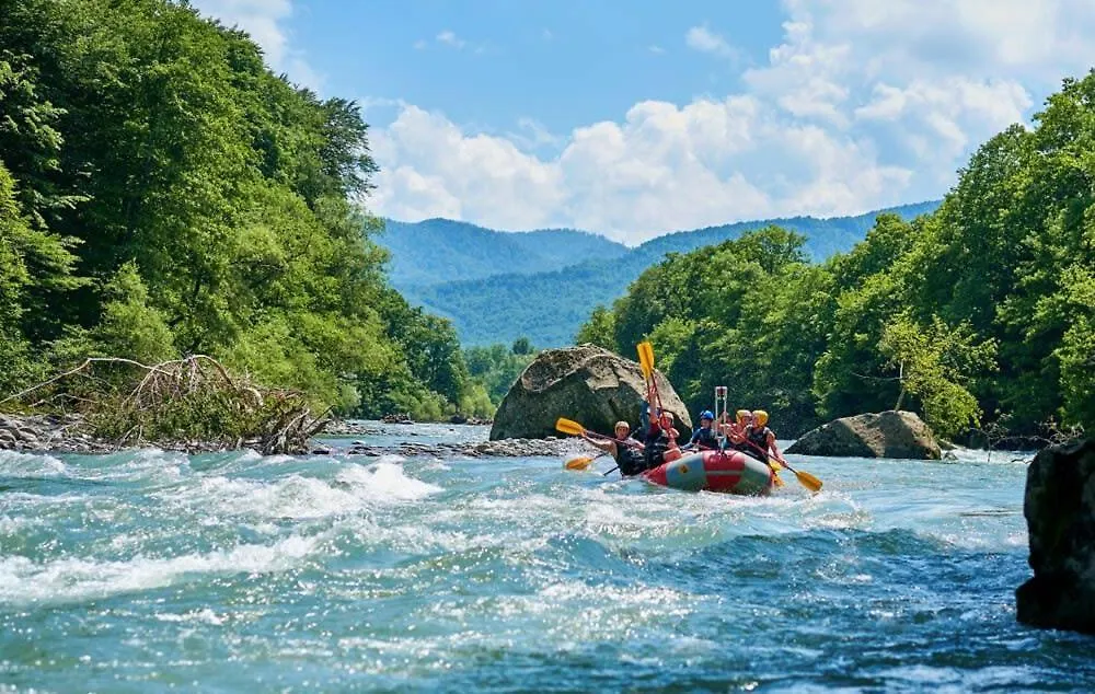 Wood Nest Retreat - Dog Friendly In Ga Blue Ridge