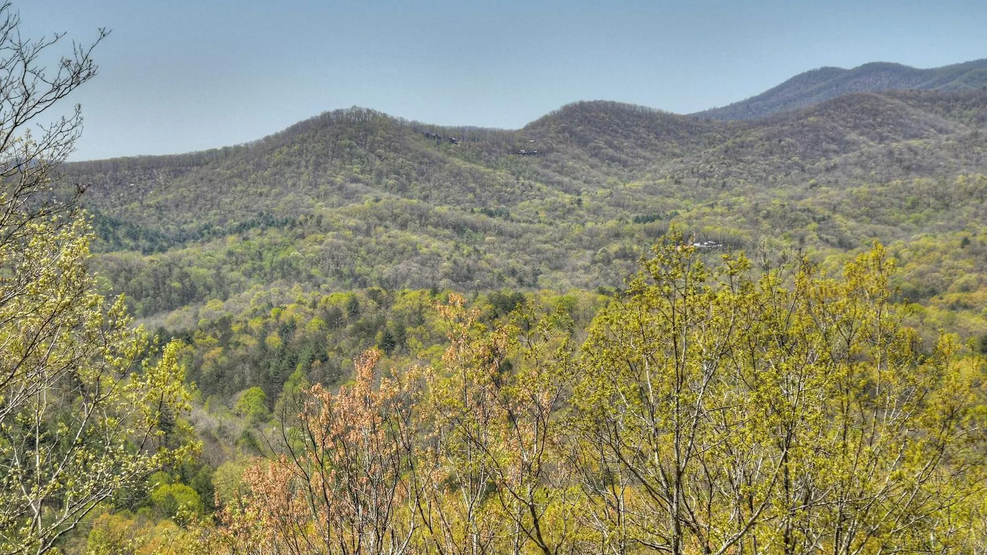 A Birds Eye View - Ga - Pet Friendly * Blue Ridge