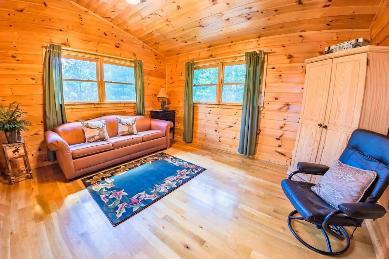 White Rock - Ga -pet Friendly * Blue Ridge