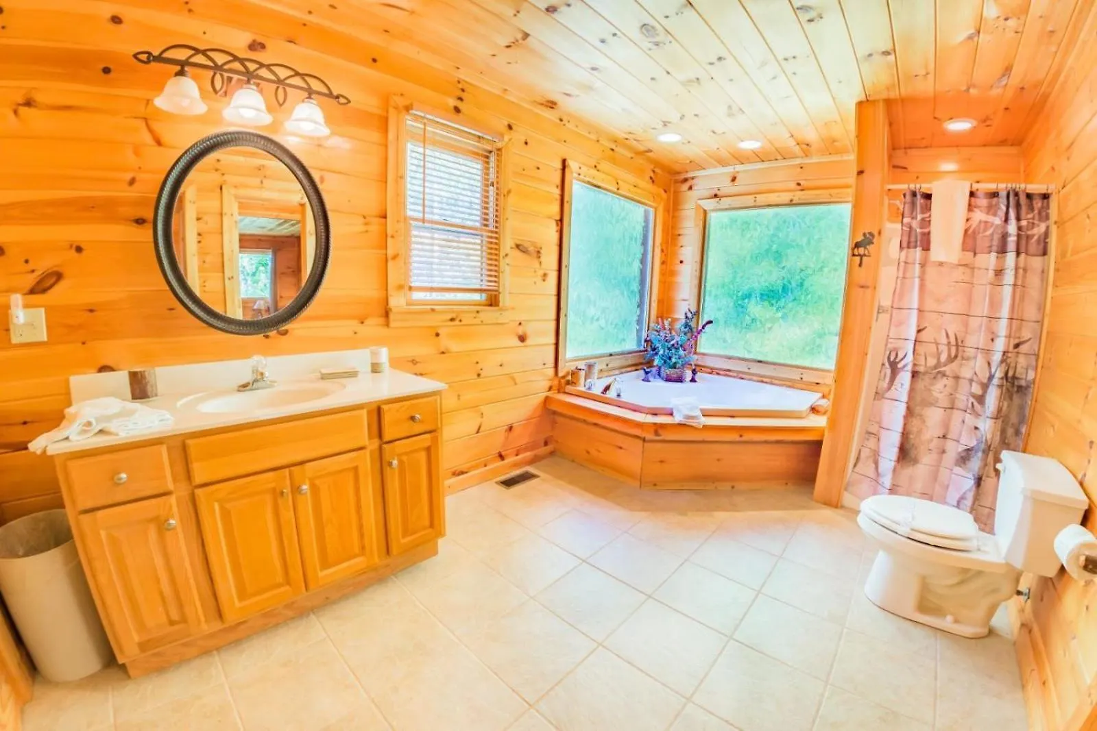 Holiday home White Rock - Ga -pet Friendly Blue Ridge