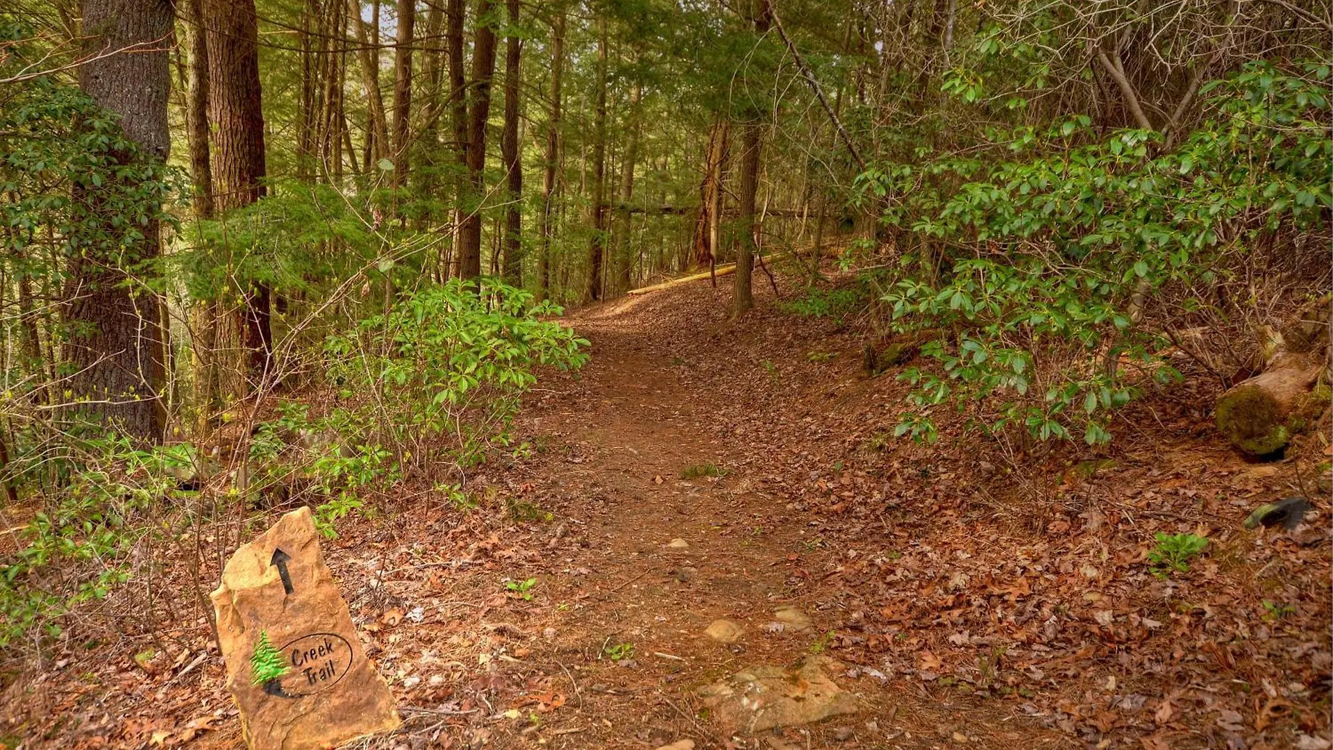 Reel Creek - Fightingtown Creek