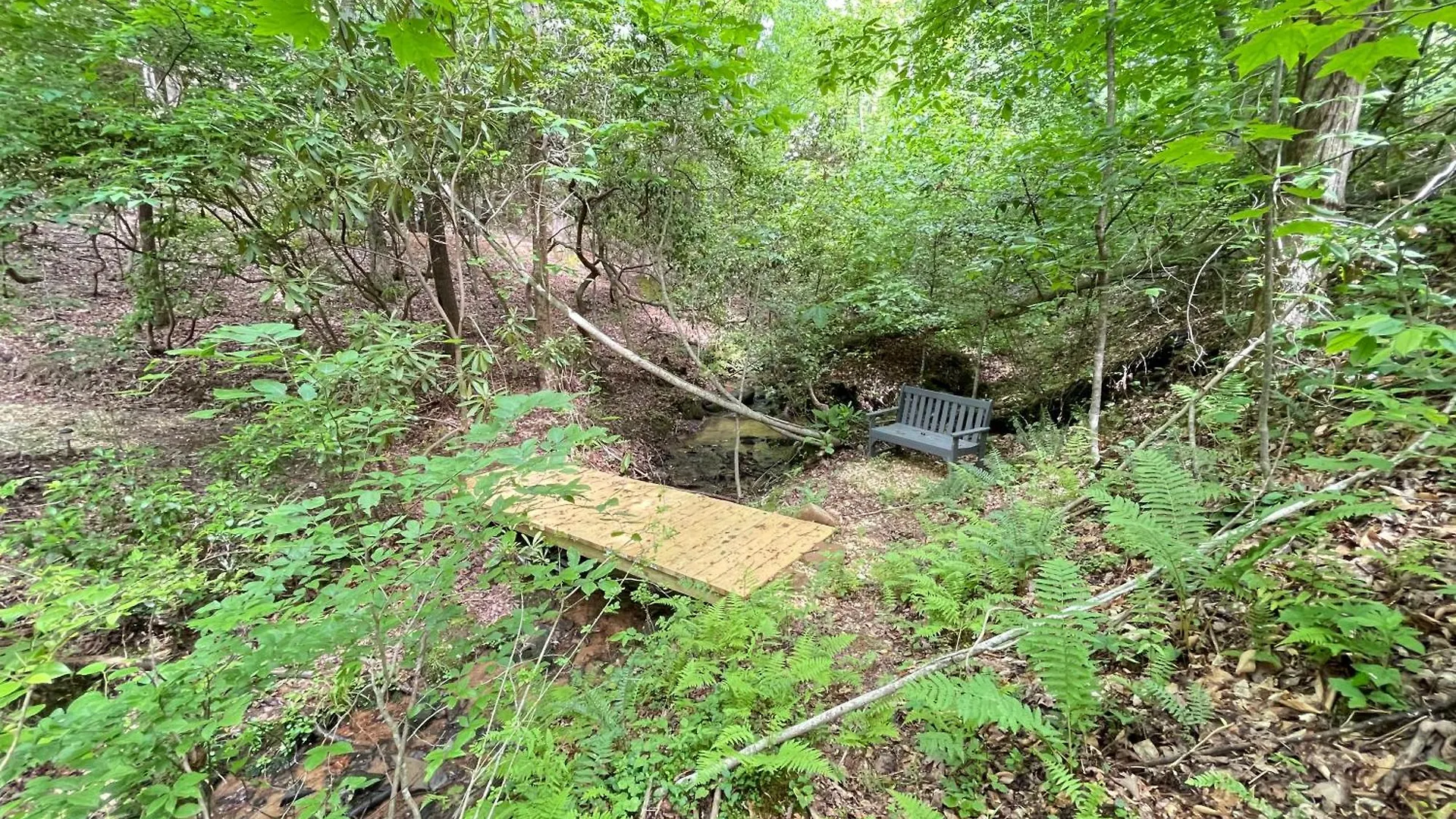 Creek Songs - Sauna Hot Tub Fire Pit And Tatil Evi Blue Ridge
