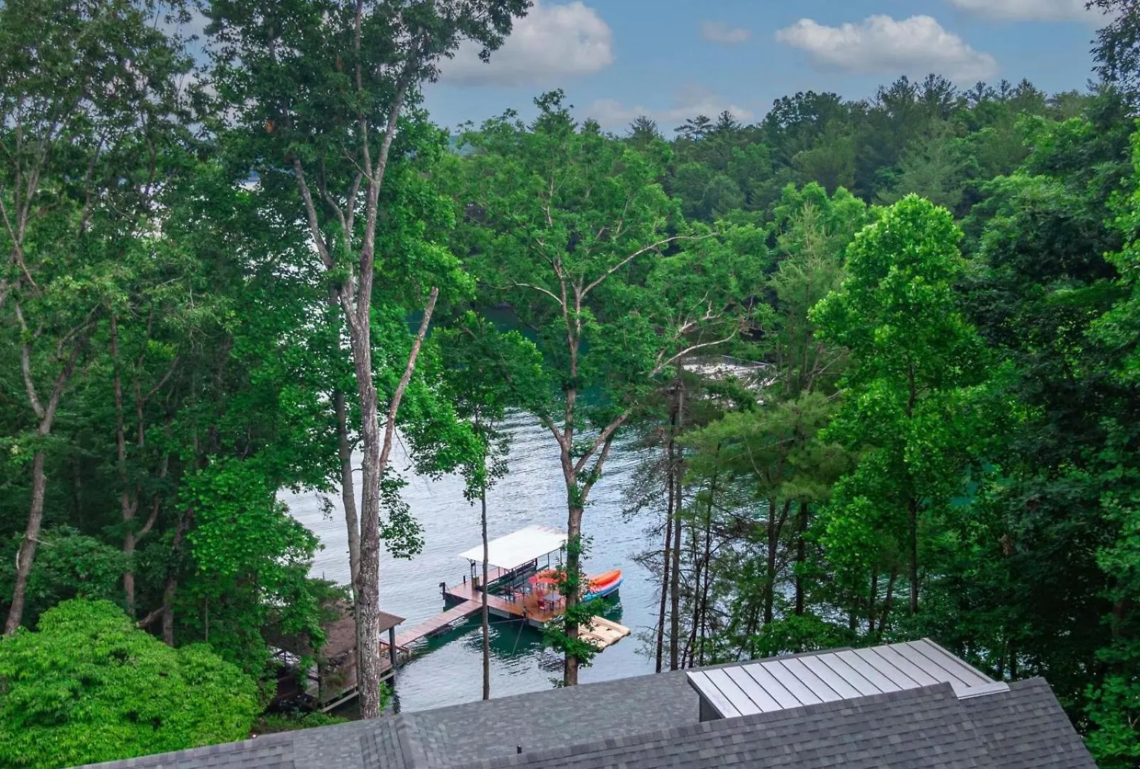 Gleesome - Lakefront With Private Dock Holiday home Blue Ridge