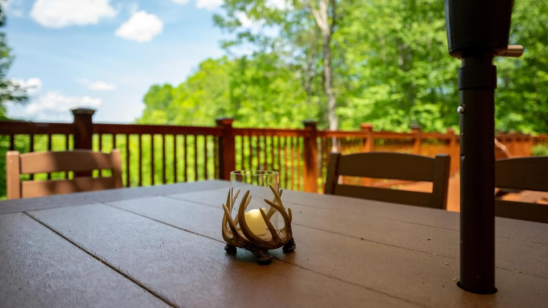 Bears Repeating - Toccoa River Whot Tub Firepit