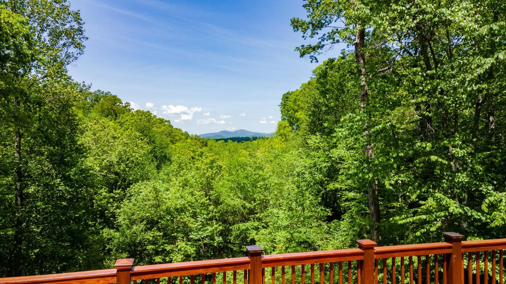 Bears Repeating - Toccoa River Whot Tub Firepit