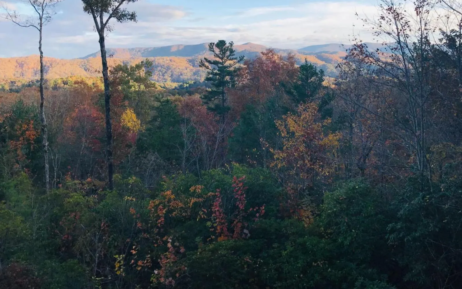 Villa Overlook Retreat - Mountain Views Pet-friendly *