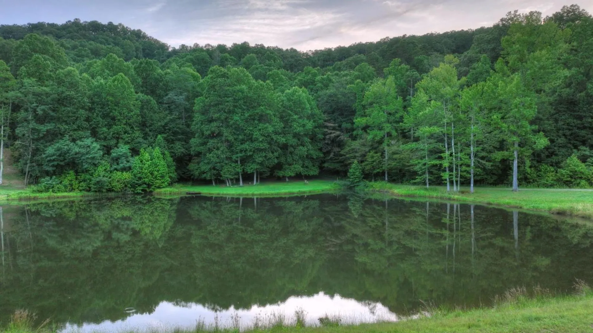Blueberry Hill - Relax In The Hot Tub Or Roast Marshmallows By The Firepit Villa *