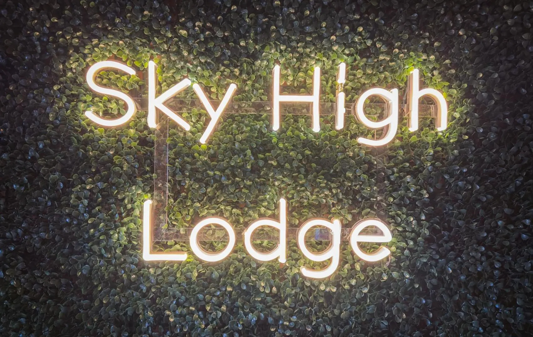 Sky High By Bk Stays. Large Cabin. Amazing Views. Game Room. Jacuzzi. Six Bedrooms. Sleeps 12 * Blue Ridge