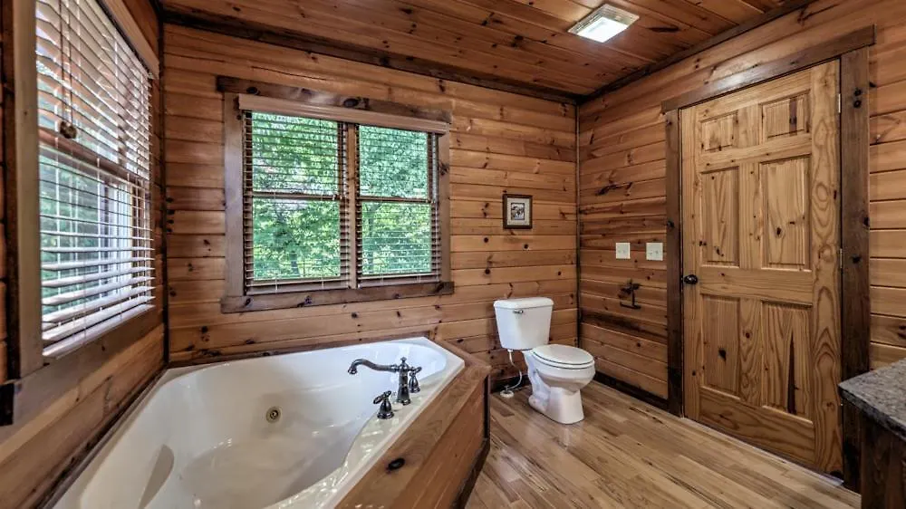 Tatil Evi Black Bear Hollow Blue Ridge
