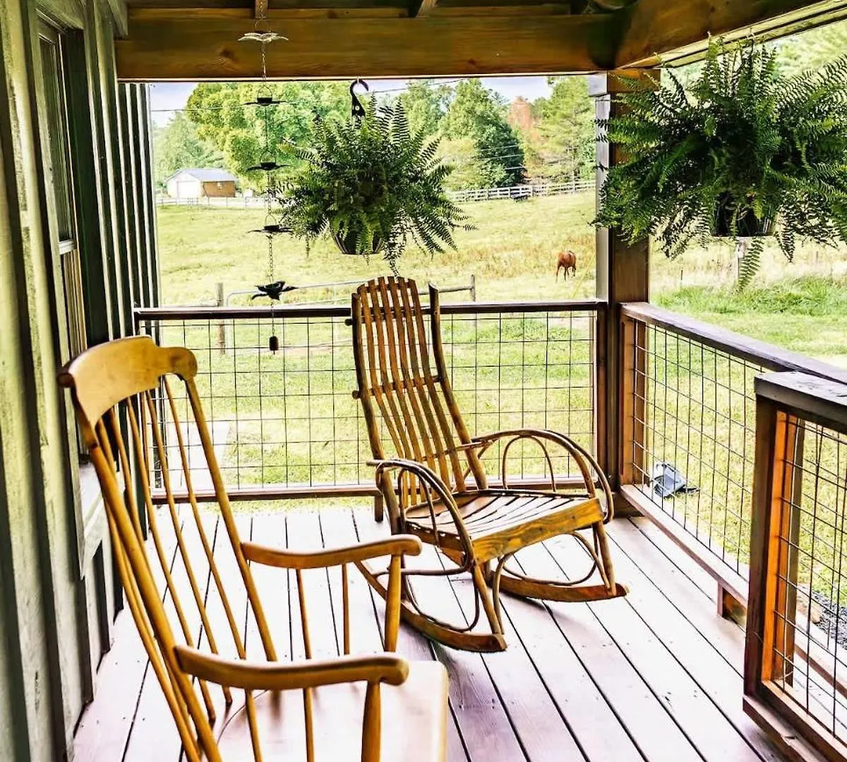Equestrian Escape * Blue Ridge