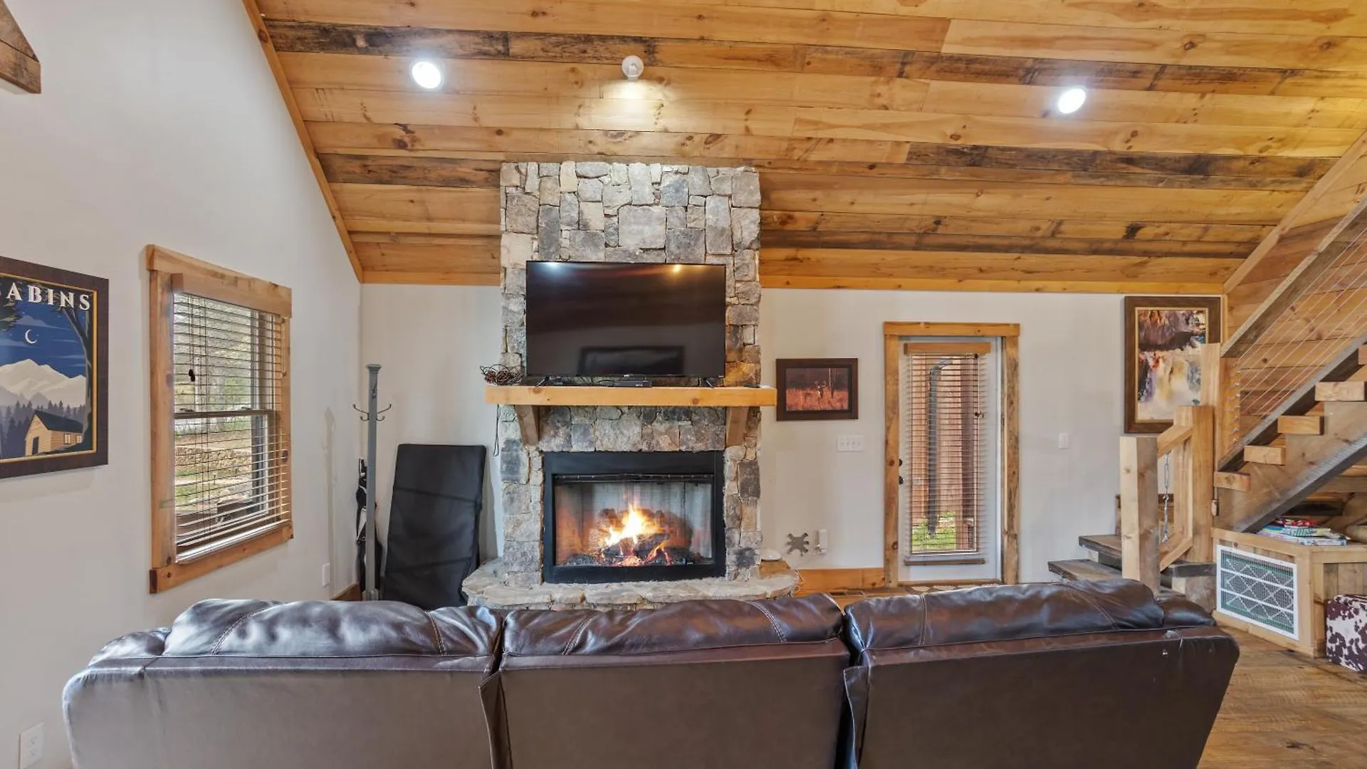 Daffodil Daydreams - Dog Friendly Blue Ridge