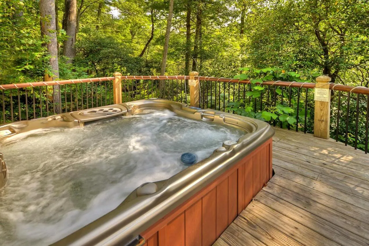 Creektopia Holiday home Blue Ridge