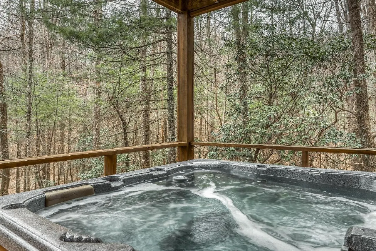 Papa Bear's Den * Blue Ridge