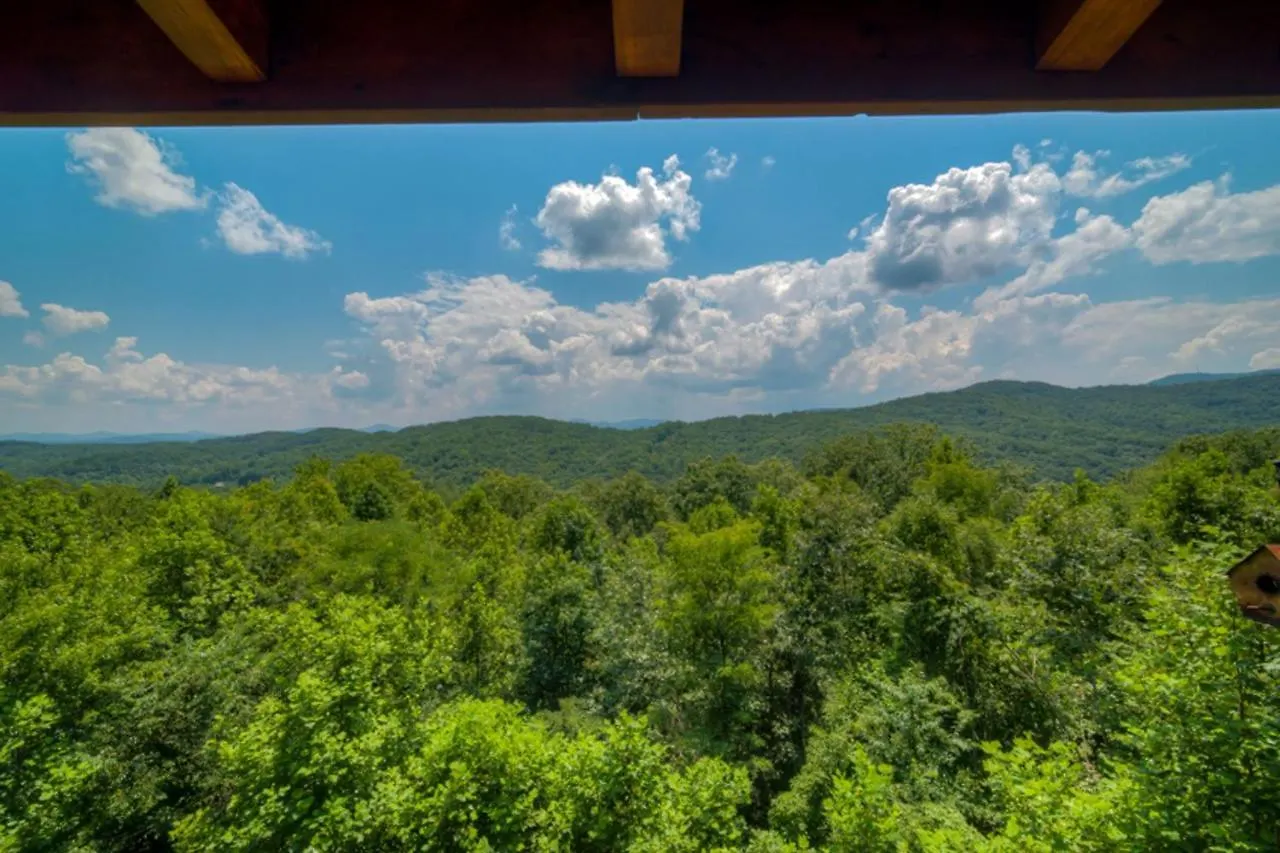 Treetops- Pet Friendly Master On Main 5 Minutes From Downtown * Blue Ridge