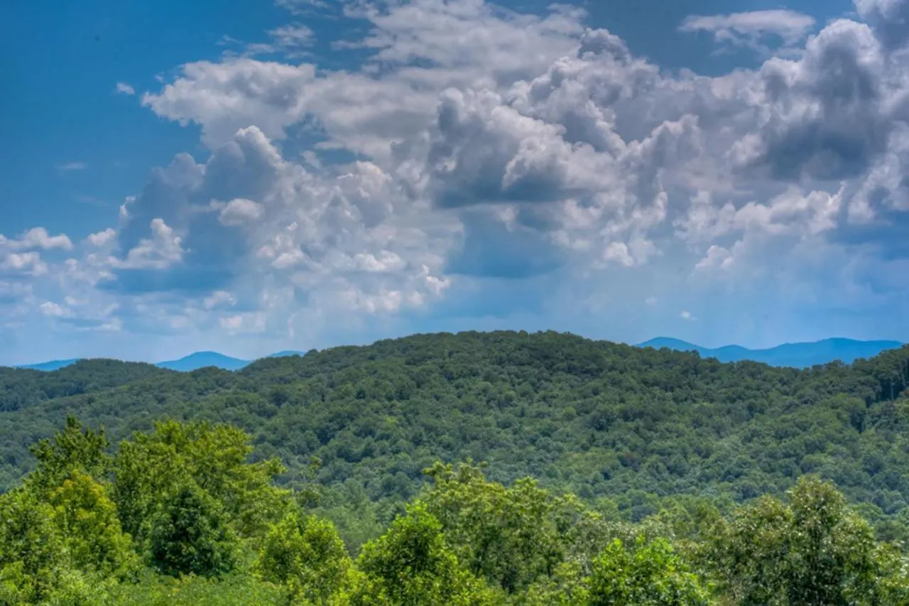 Treetops- Pet Friendly Master On Main 5 Minutes From Downtown Holiday home