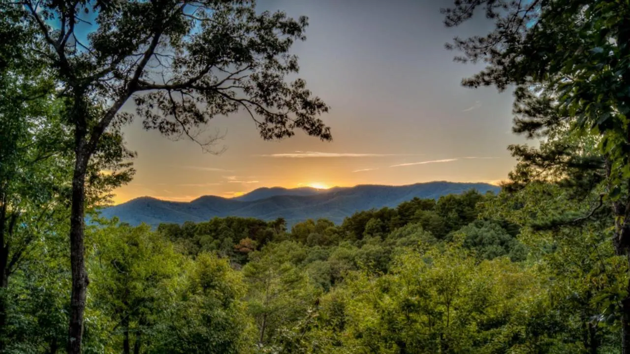 Stress Free Summit