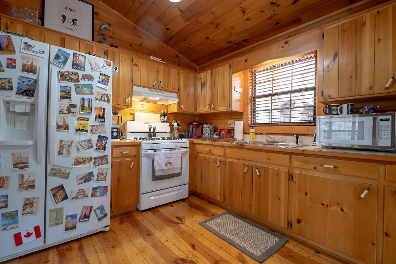 Three Dog Night - Pet-friendly Cabin With Hot Tub