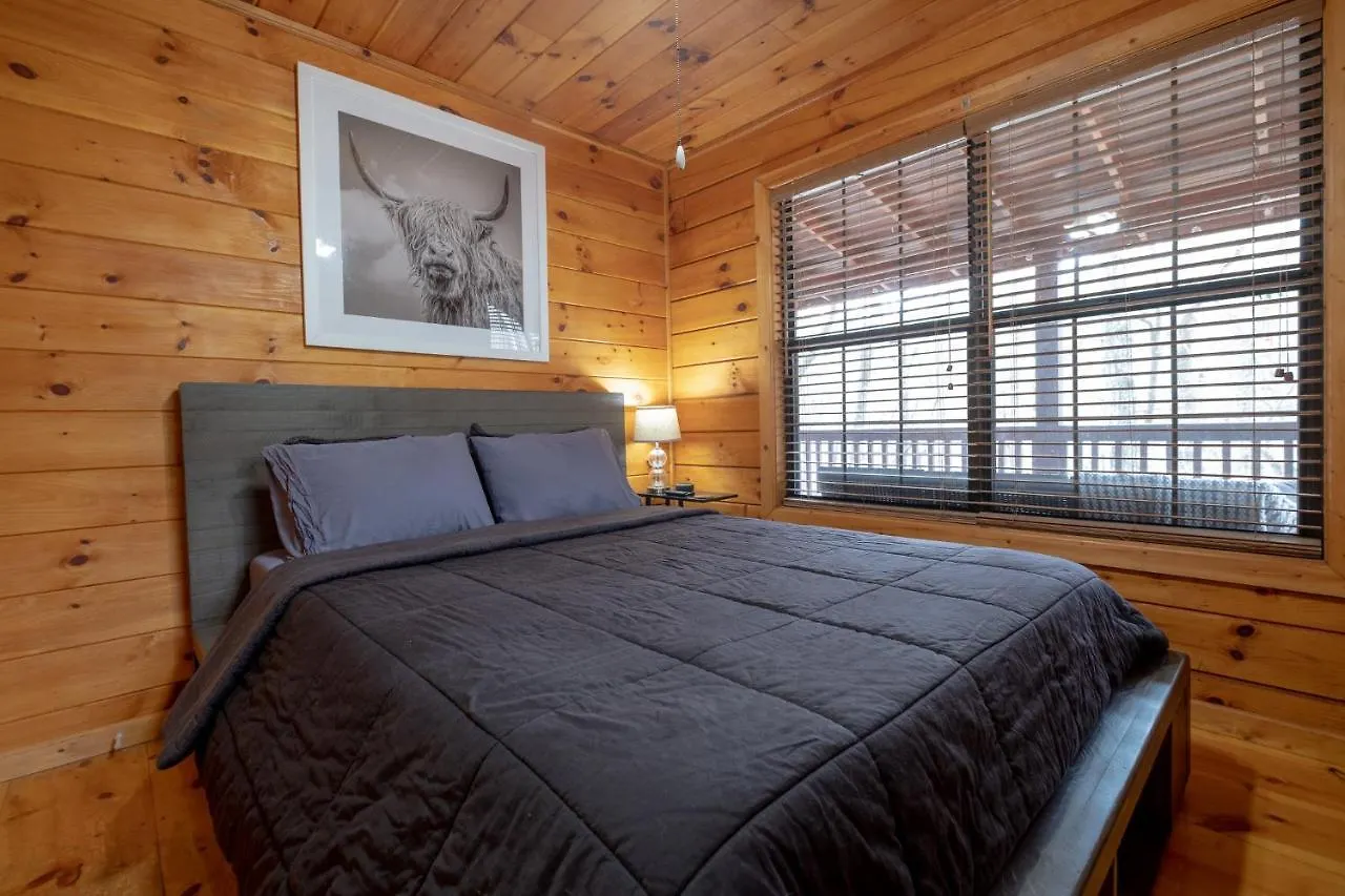 Three Dog Night - Pet-friendly Cabin With Hot Tub Blue Ridge