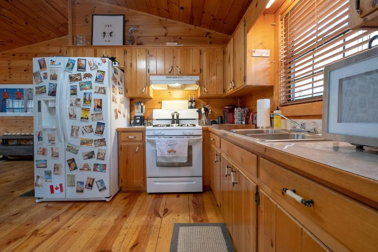 Three Dog Night - Pet-friendly Cabin With Hot Tub Ferienhaus