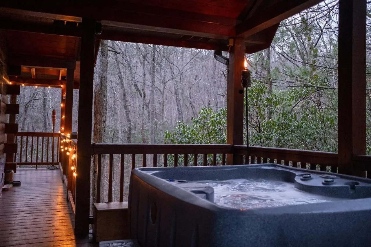 Three Dog Night - Pet-friendly Cabin With Hot Tub Blue Ridge